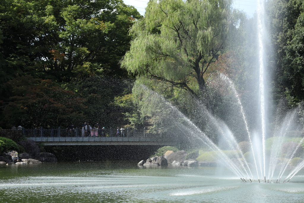 10月の中央公園 Part2