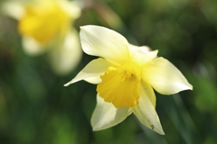 スイセン2022 Part2