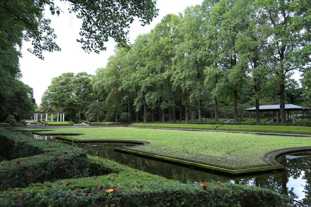 9月の中央公園 Part1