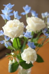生花 2025.4.27 Part2