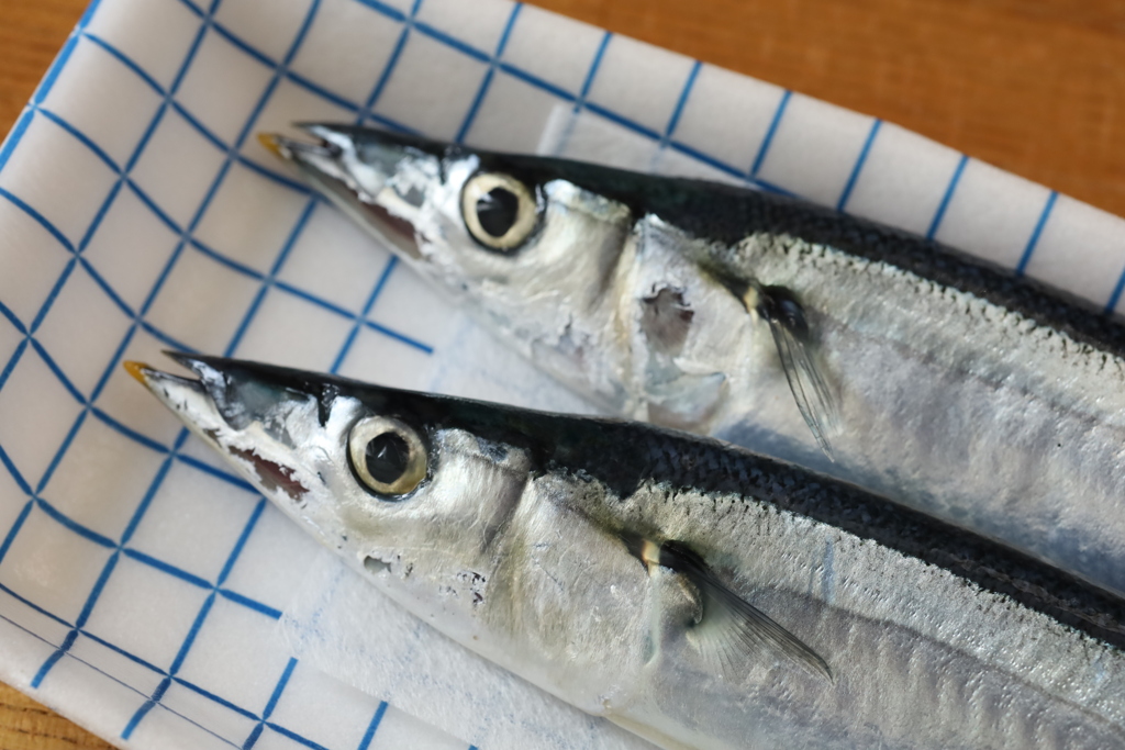 生さんま 2022.9