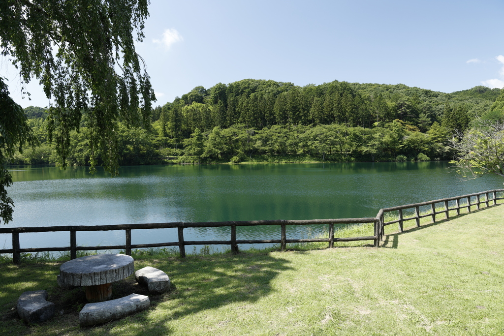 梅雨の晴れ間の森林公園 3