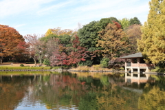 中央公園の紅葉 Part2
