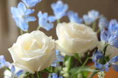 生花 2025.4.27 Part1