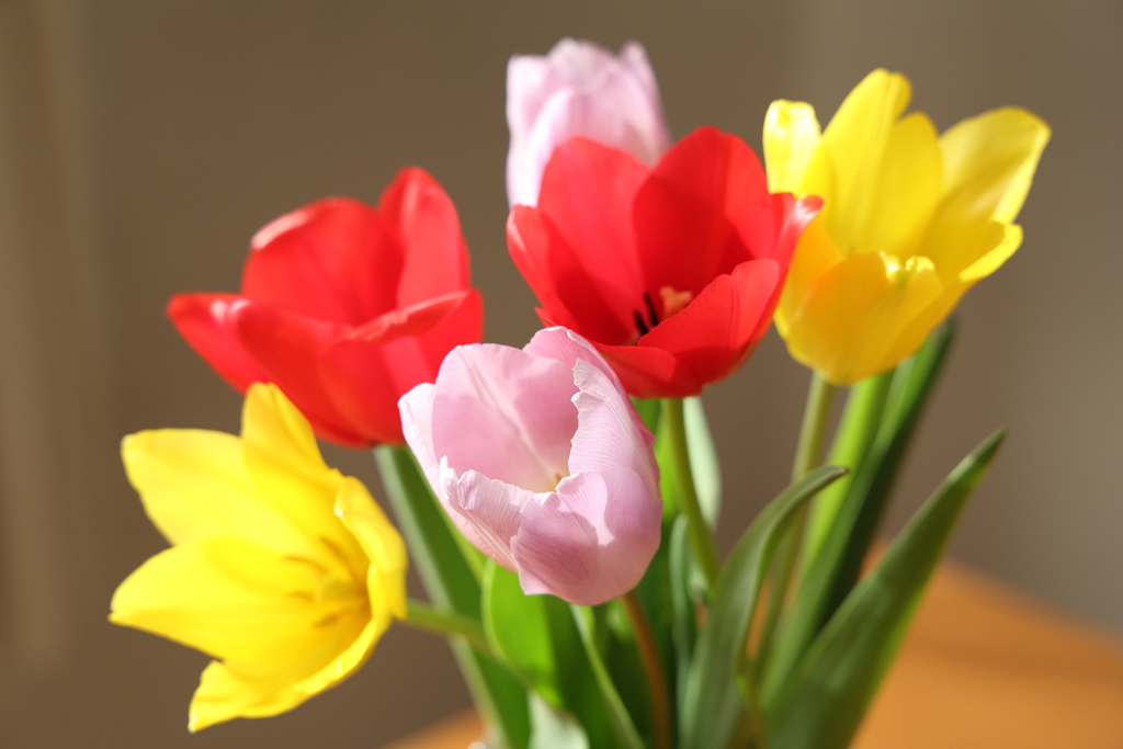 感謝と応援 2026.1.1 Part1