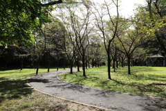 八幡山公園にて