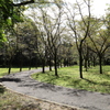 八幡山公園にて