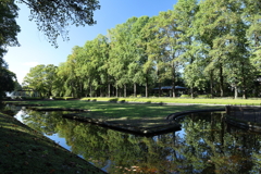 中央公園散策 2024.10.13