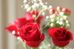 祝福と応援 2025.12.9