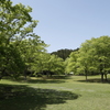 新緑の森林公園 4