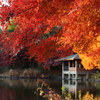 中央公園にて 2024.12
