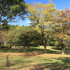 森林公園散策 2024.11