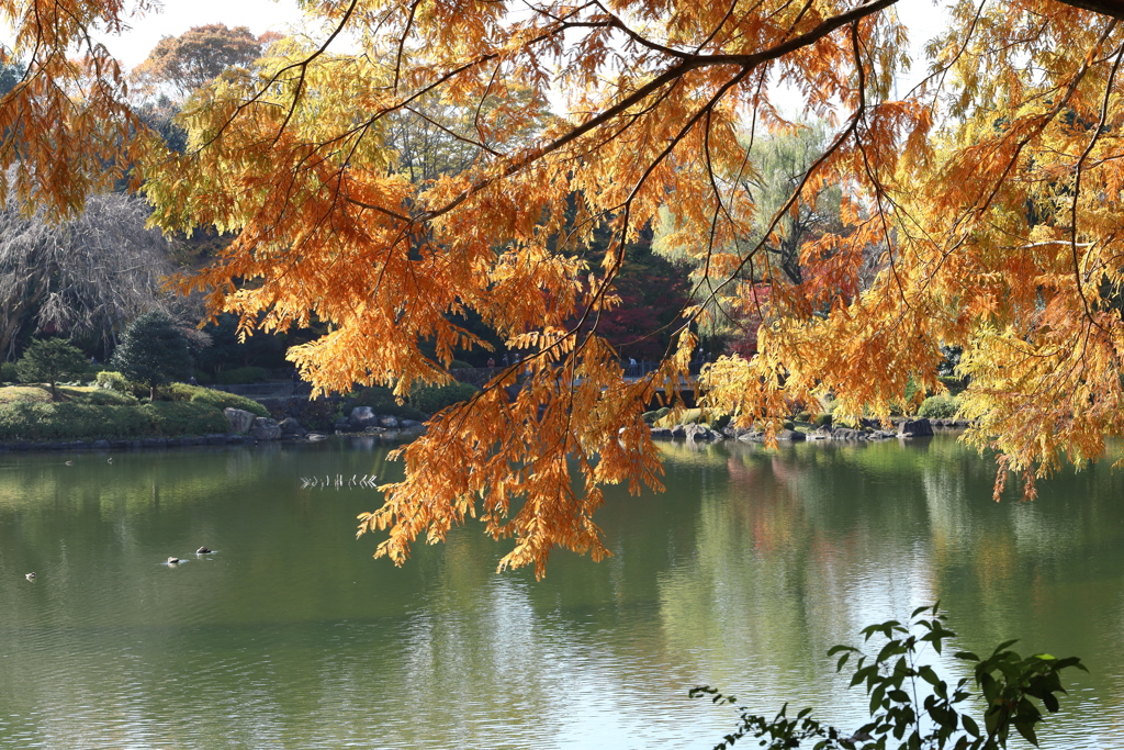 中央公園にて Part5