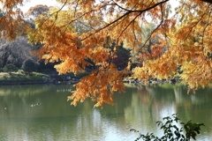 中央公園にて Part5