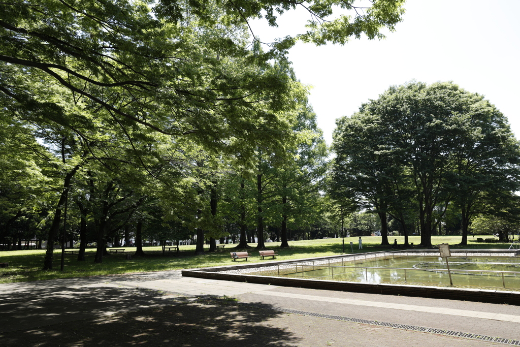 明保野公園散策 1