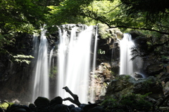 乙女の滝 in 那須