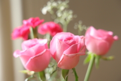 生花 2024.11