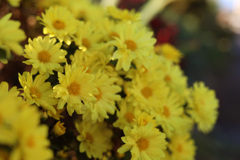 夕方、帰り道で