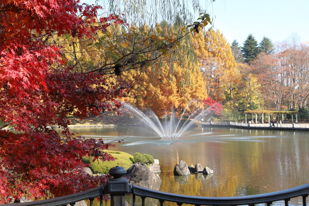 中央公園にて Part2