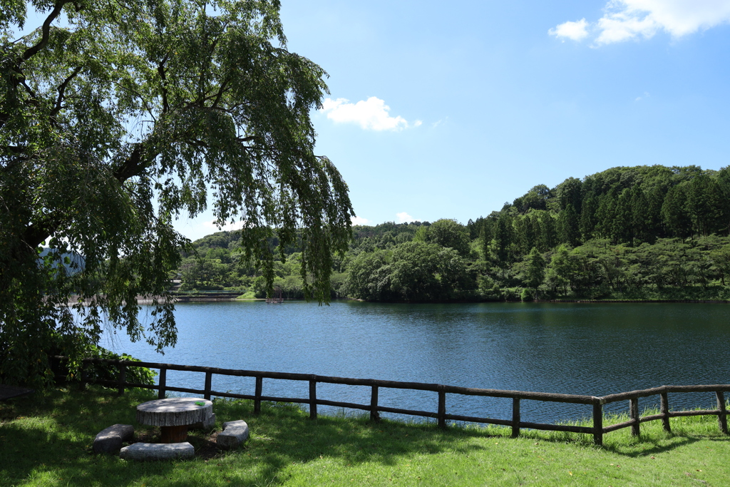 森林公園 8月 Part3