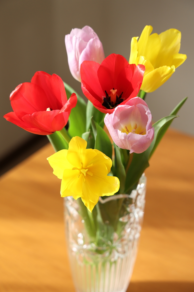 感謝と応援 2026.1.1 Part2