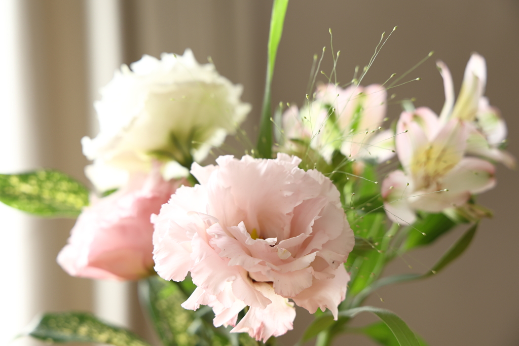 トルコキキョウなど