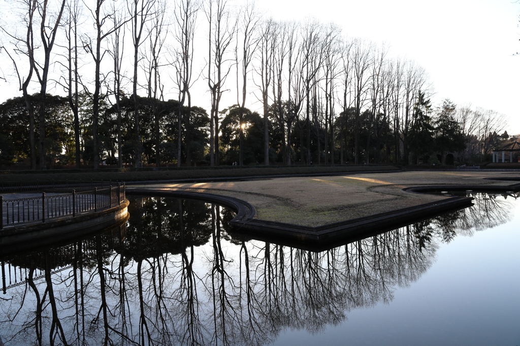 夕方、中央公園にて