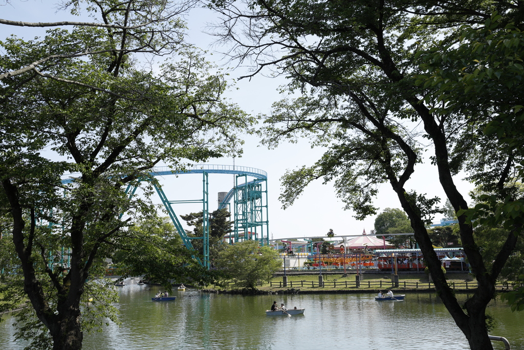 県総合運動公園を散策