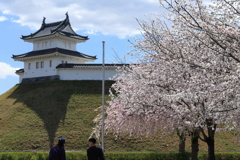 城址公園の桜 2025.4.16