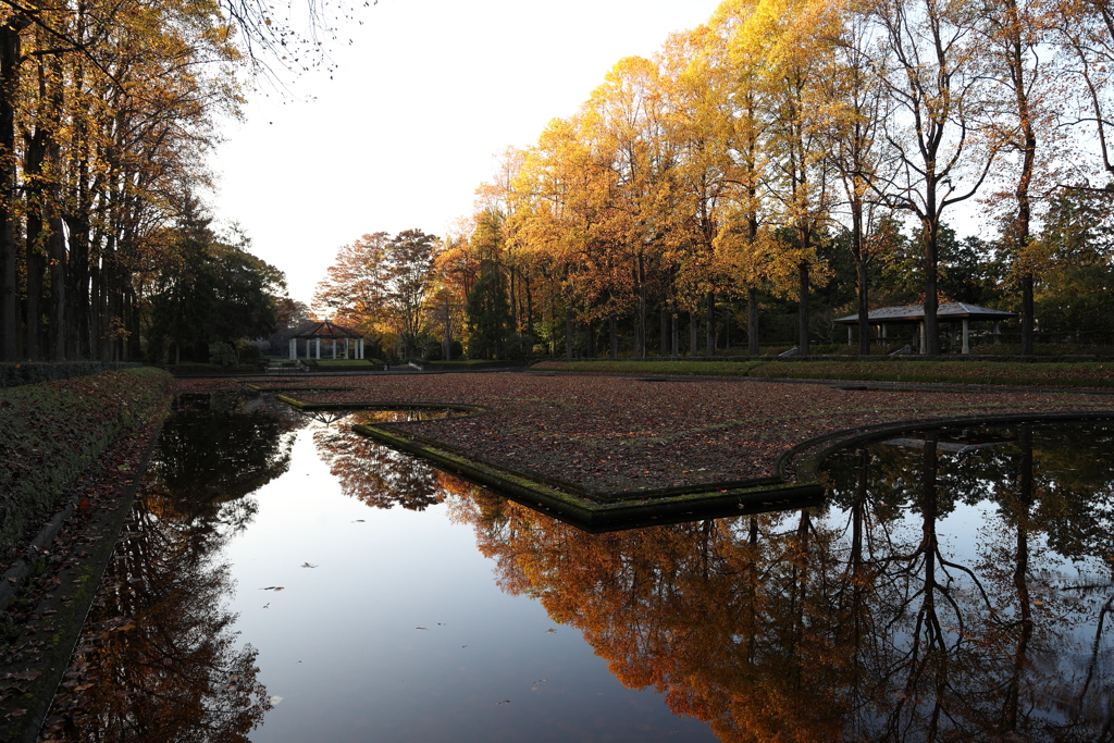 夕方 中央公園で Part1