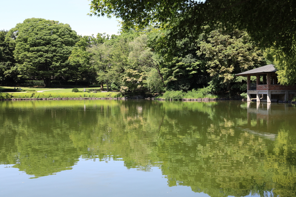 中央公園散策 8月