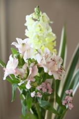 祝福的生花 2025.12.1