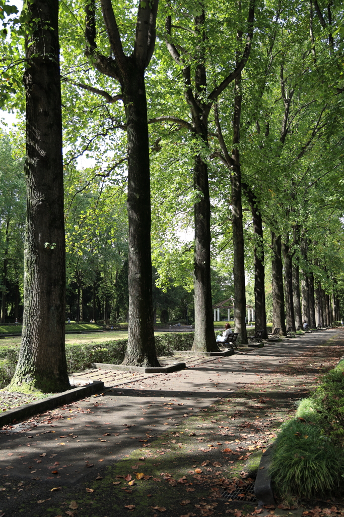 10月の中央公園 Part1