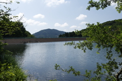 梅雨の晴れ間の森林公園 2