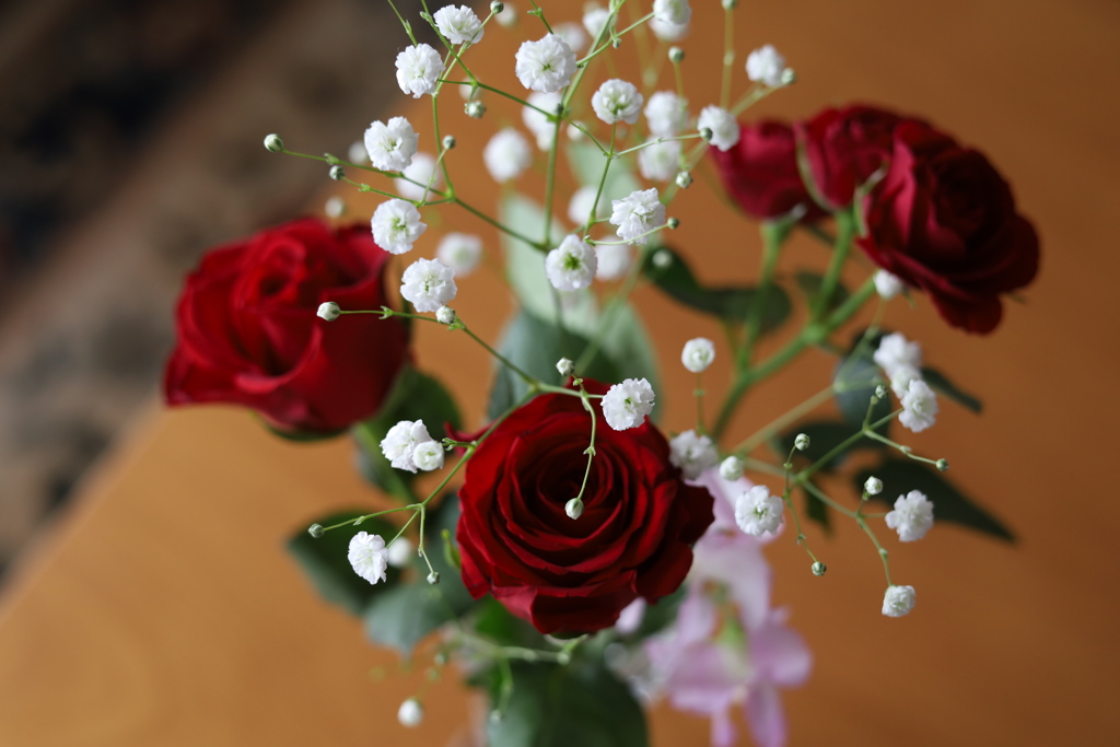 薔薇 6