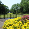 中央公園散策 2024.5-2