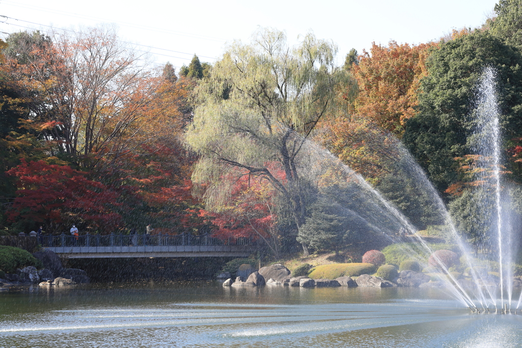 中央公園にて Part3