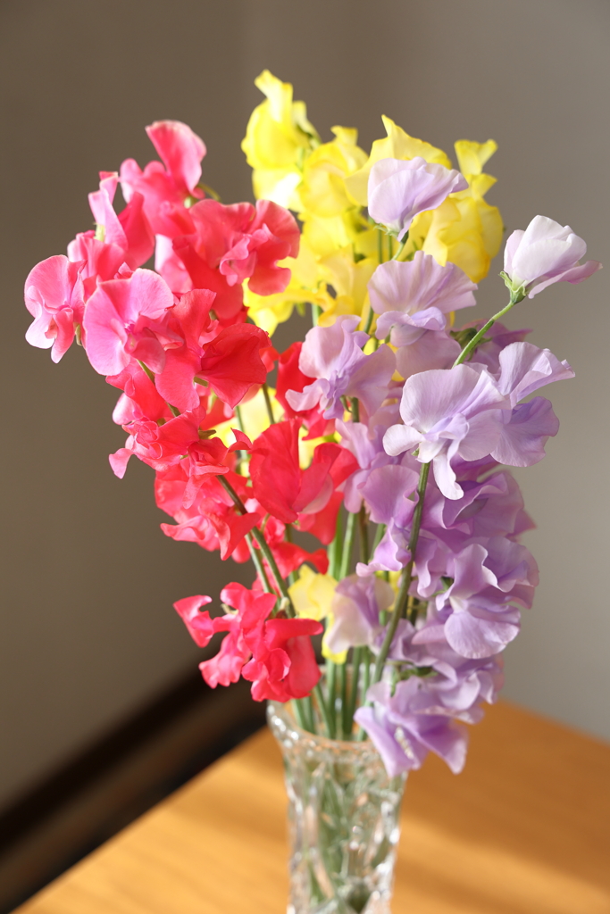 “赤いスイートピー”など