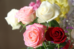 いくつかのバラ