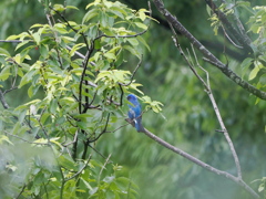 高温多湿