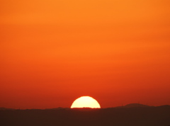 季節の色・橙(壱)