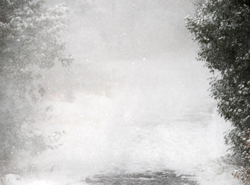 ホワイトアウト