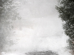 ホワイトアウト