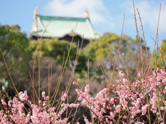 太閤さん