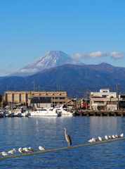 やっぱええなぁ