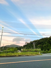 鳥？