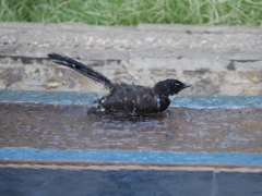 気持ちイイ！