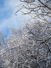 雪の六甲