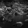 Botanical Garden