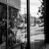Showwindow